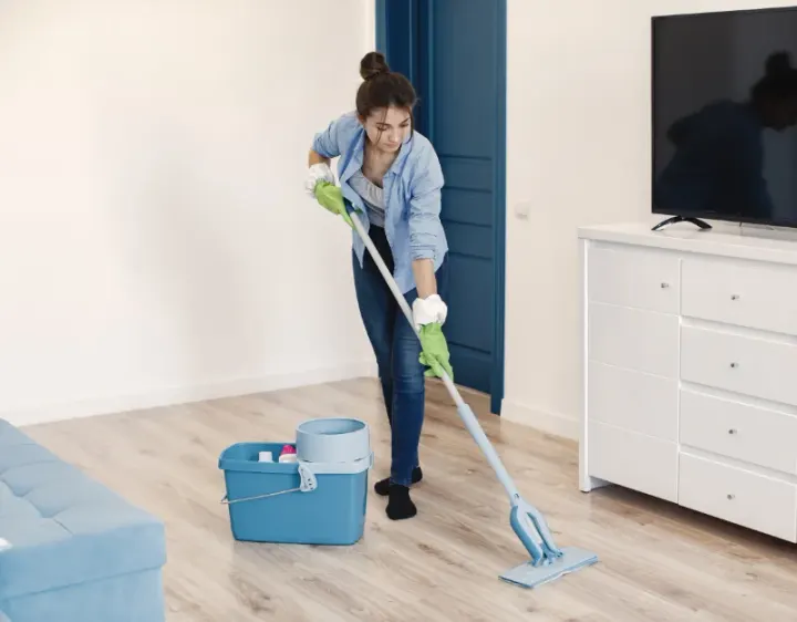 Femme de ménage Mulsans